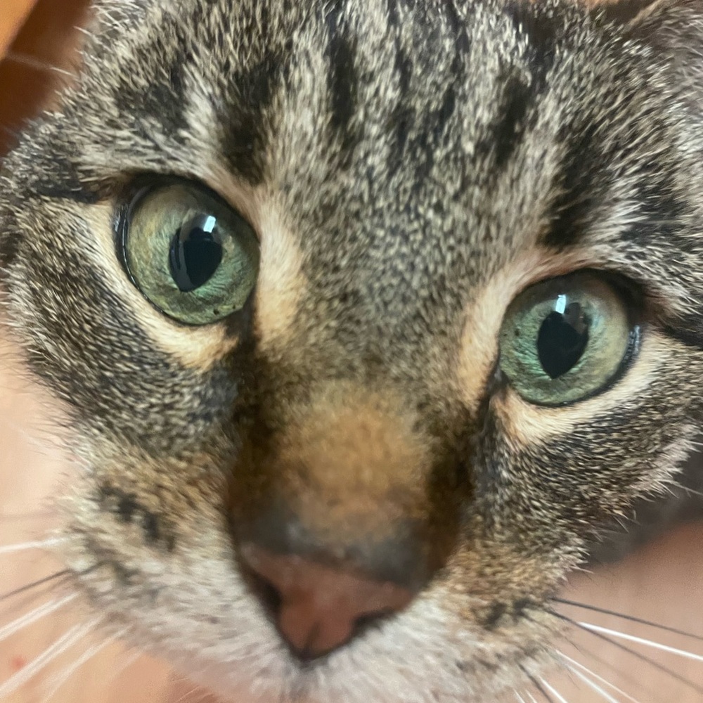 Meet your Posher, Mara